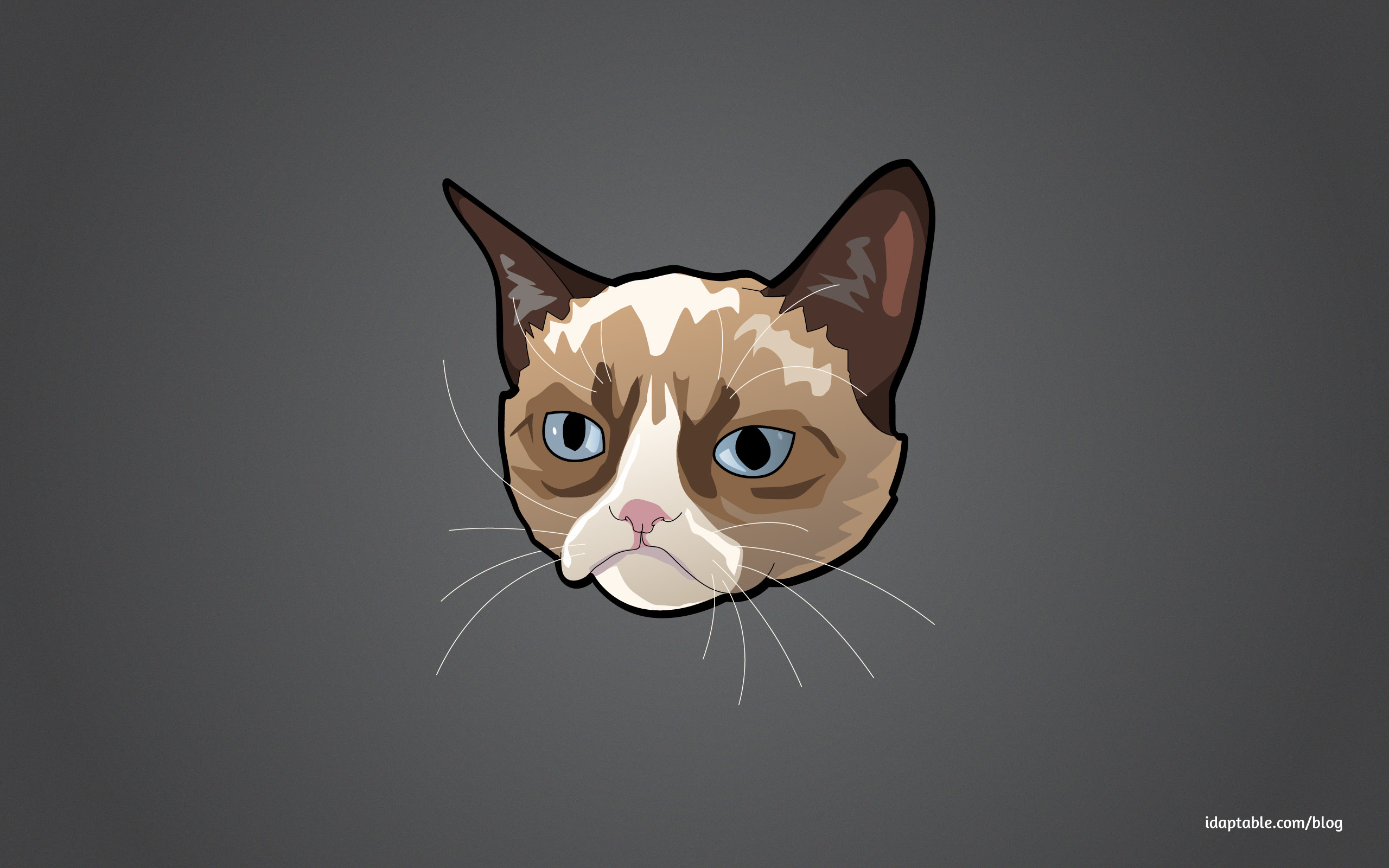 2560x1600 Grumpy Cat wallpaper