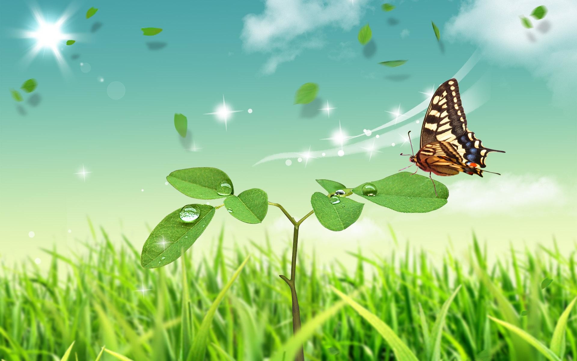 1920x1200 Dimensions: 1680x1050 1440x900 1280x800. Cool HD wallpaper -  Abstract Nature Butterfly ...