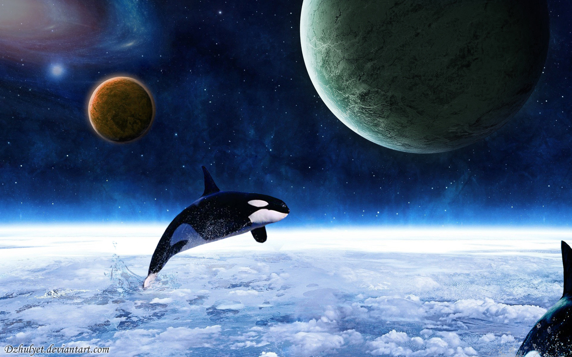 1920x1200 Killer Whales Wallpapers - Wallpaper Cave Whale Wallpaper - Wallpapers  Browse Killer Whale ...