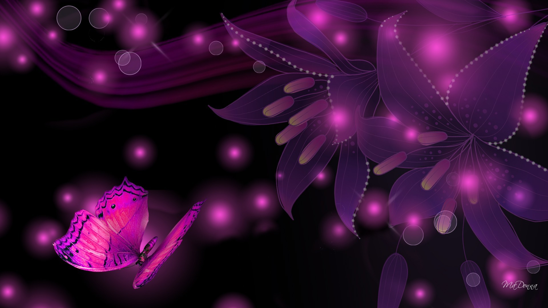 1920x1080 Pink And Black Butterfly Wallpaper - Wallpapers High Definition