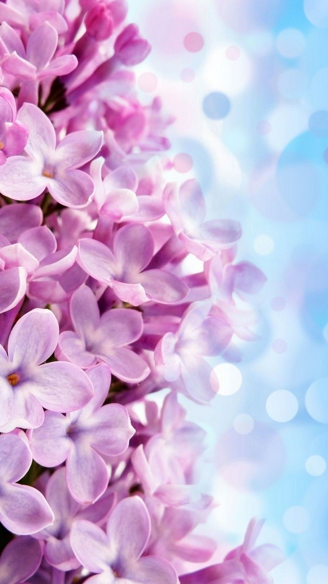 1080x1920 iPhone Wallpaper HD Purple Flowers | Best HD Wallpapers