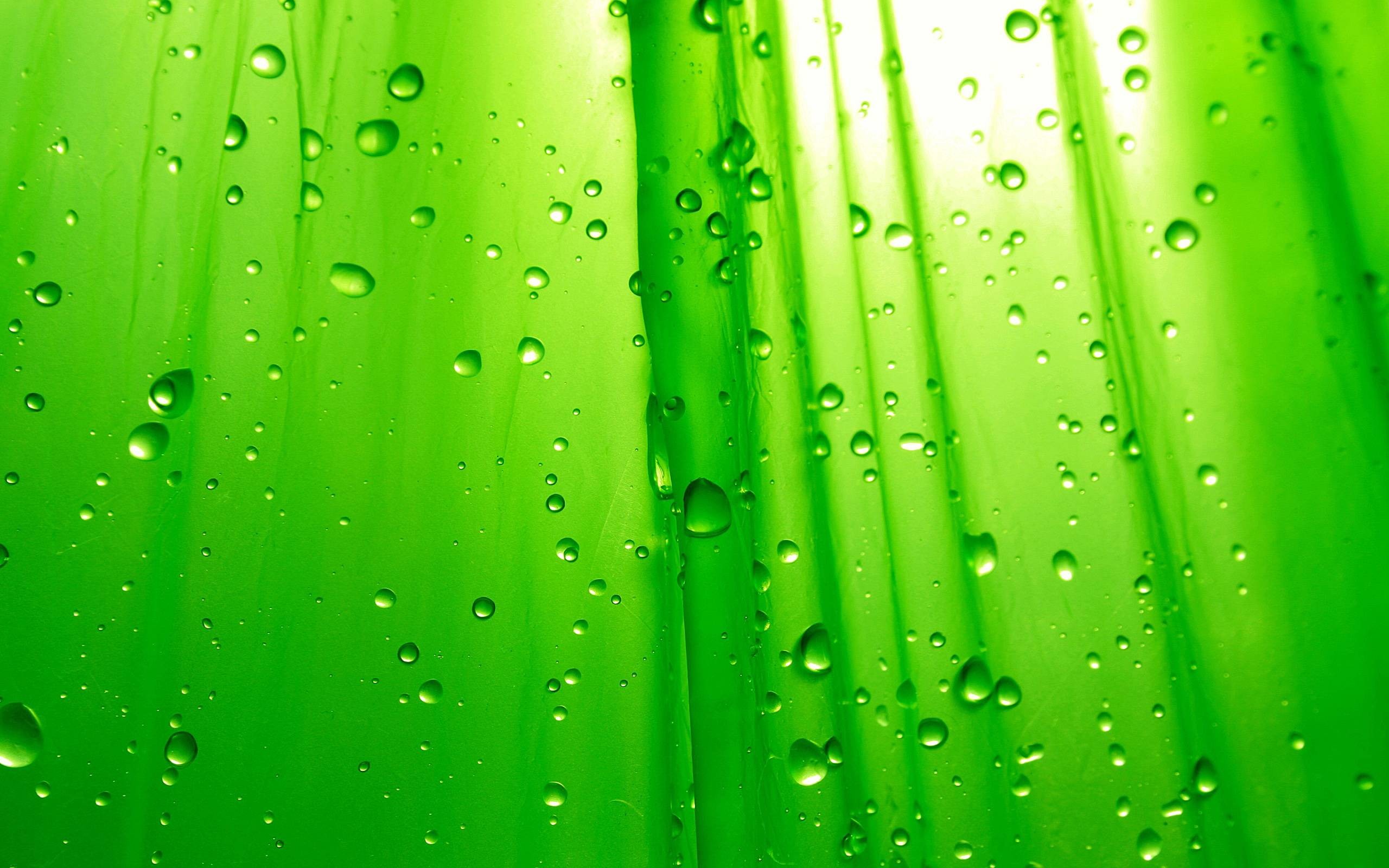2560x1600 Lime Green Desktop Background.