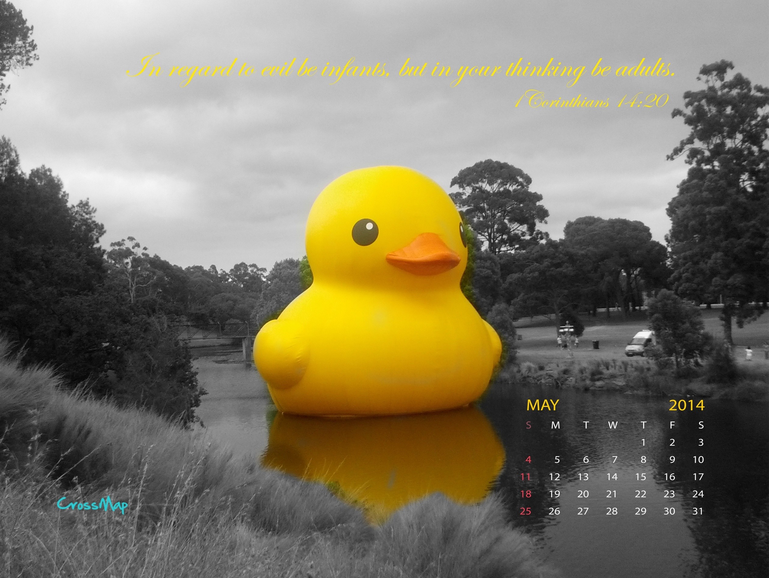 2525x1898 Yellow Rubber Duck 2014 Calendar Wallpaper - May