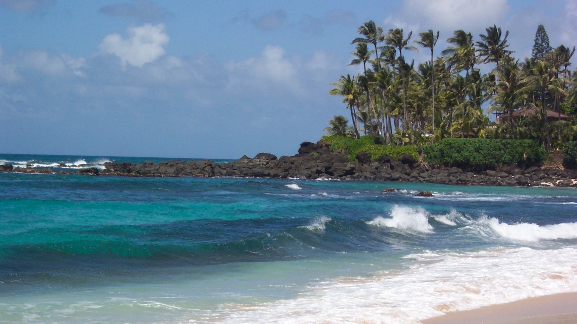 1920x1080 Beaches Oahu Nature Hawaii Beach Oceans Turtle Wallpaper And Sea