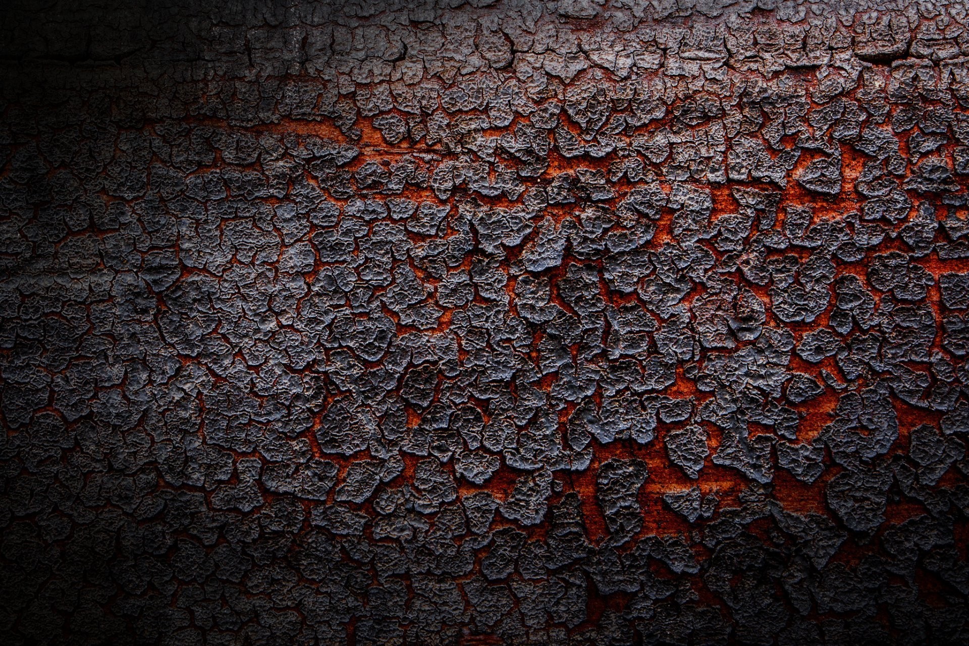 1920x1281 bark lava textures