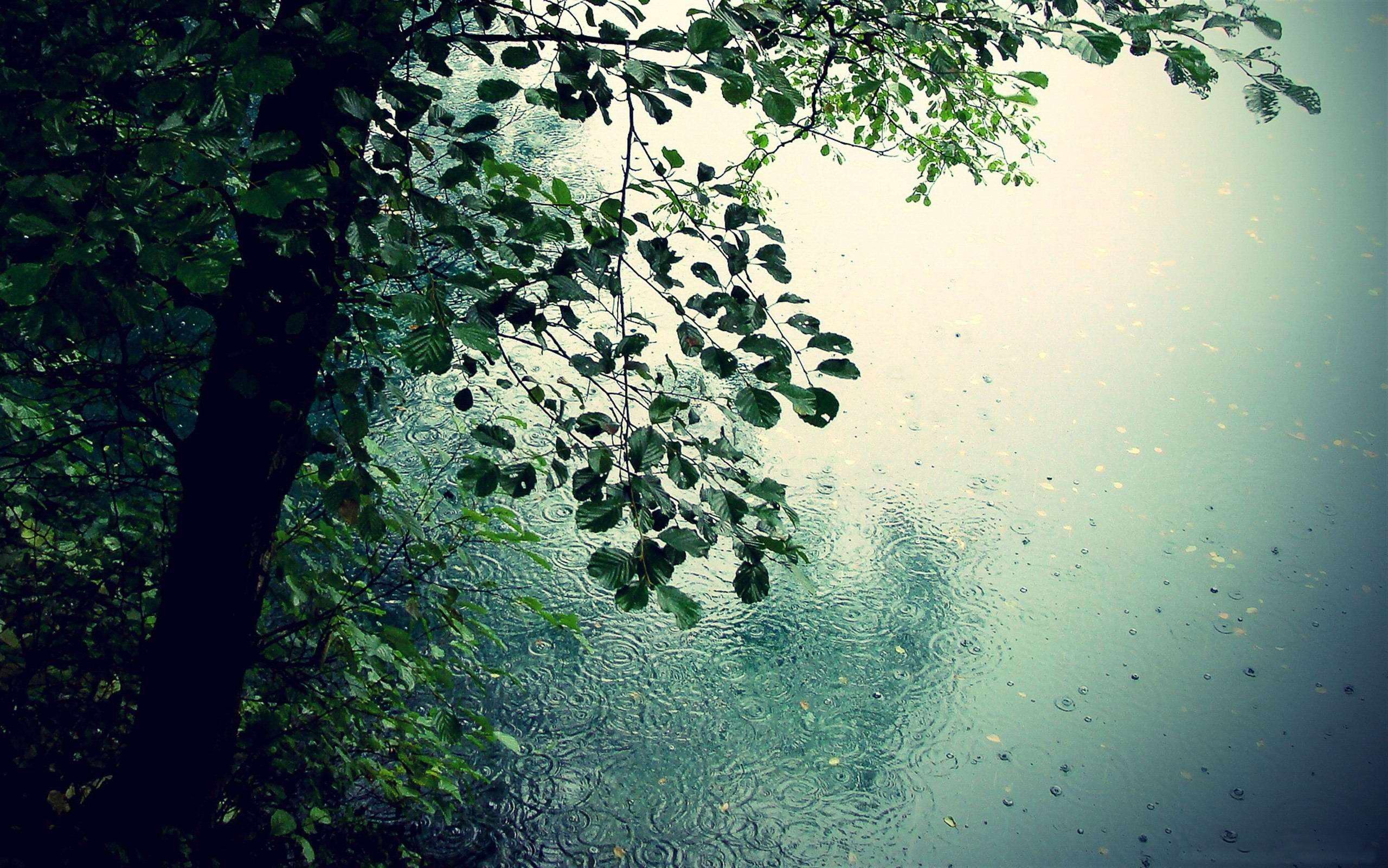 2560x1600 Wonderful Raindrops HD Wallpapers for inspiration Digital