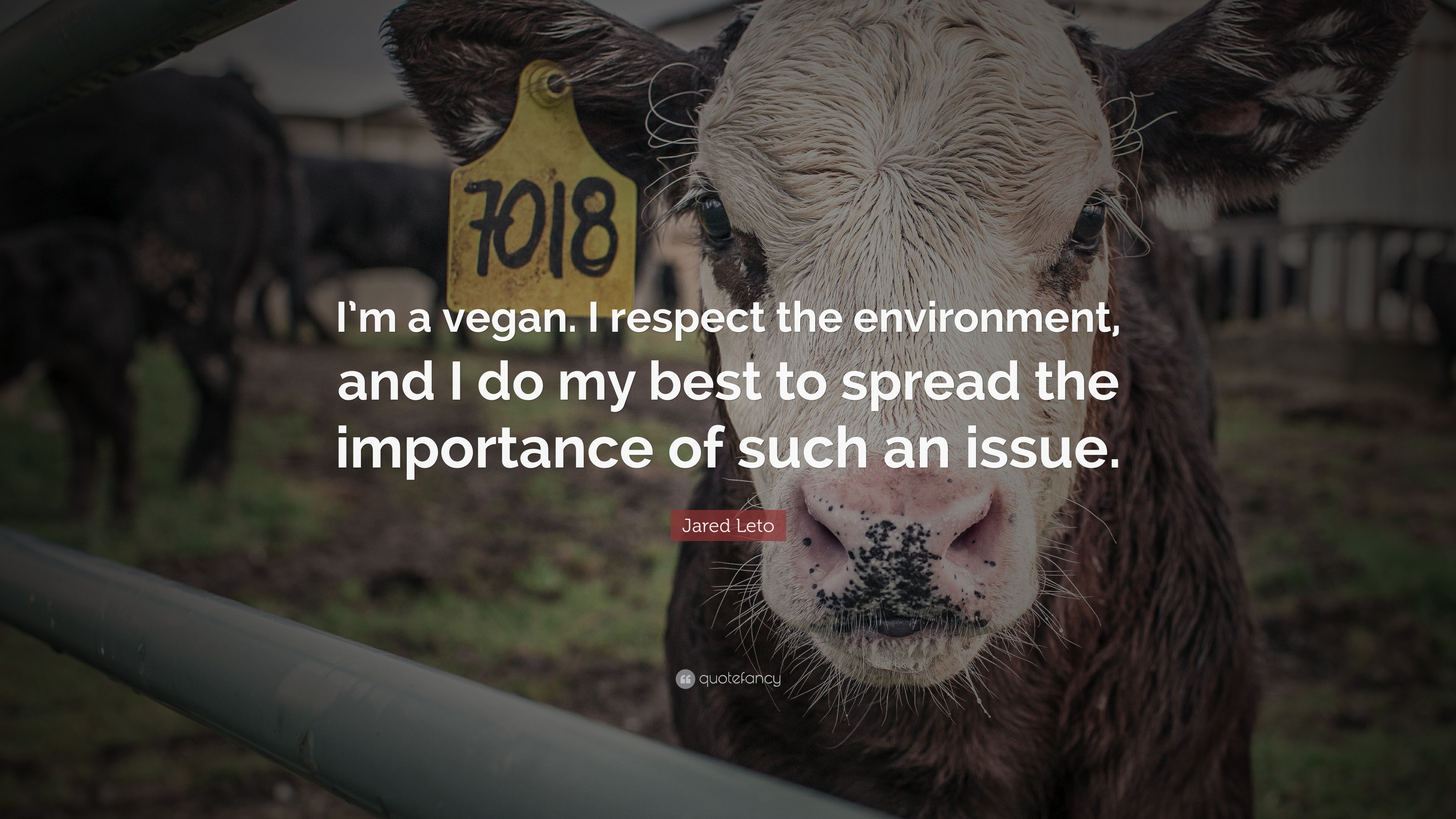 3840x2160 Quotes About Veganism: “I'm a vegan. I respect the environment,