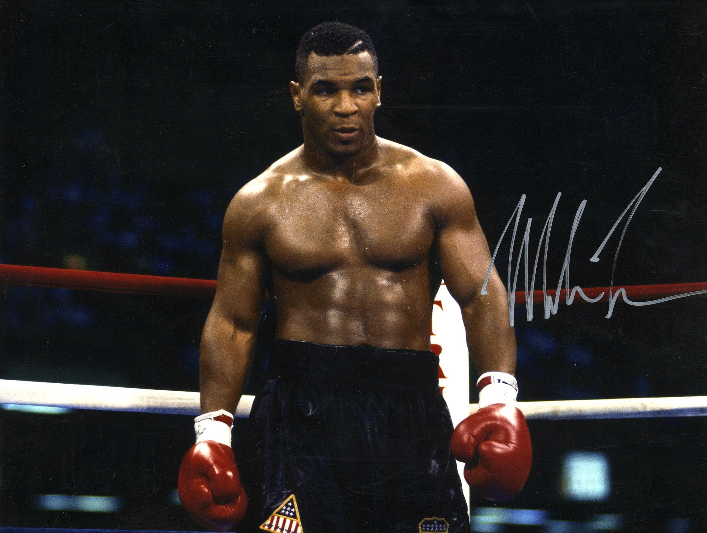 Mike Tyson Wallpaper 68 Images