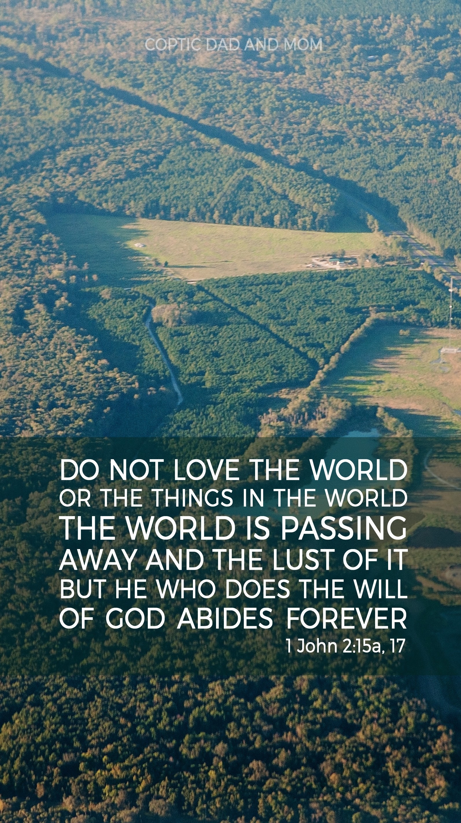 1594x2848 Make sure to click to open at full-size to save and set as wallpaper lock  screen. Do Not Love the World ...
