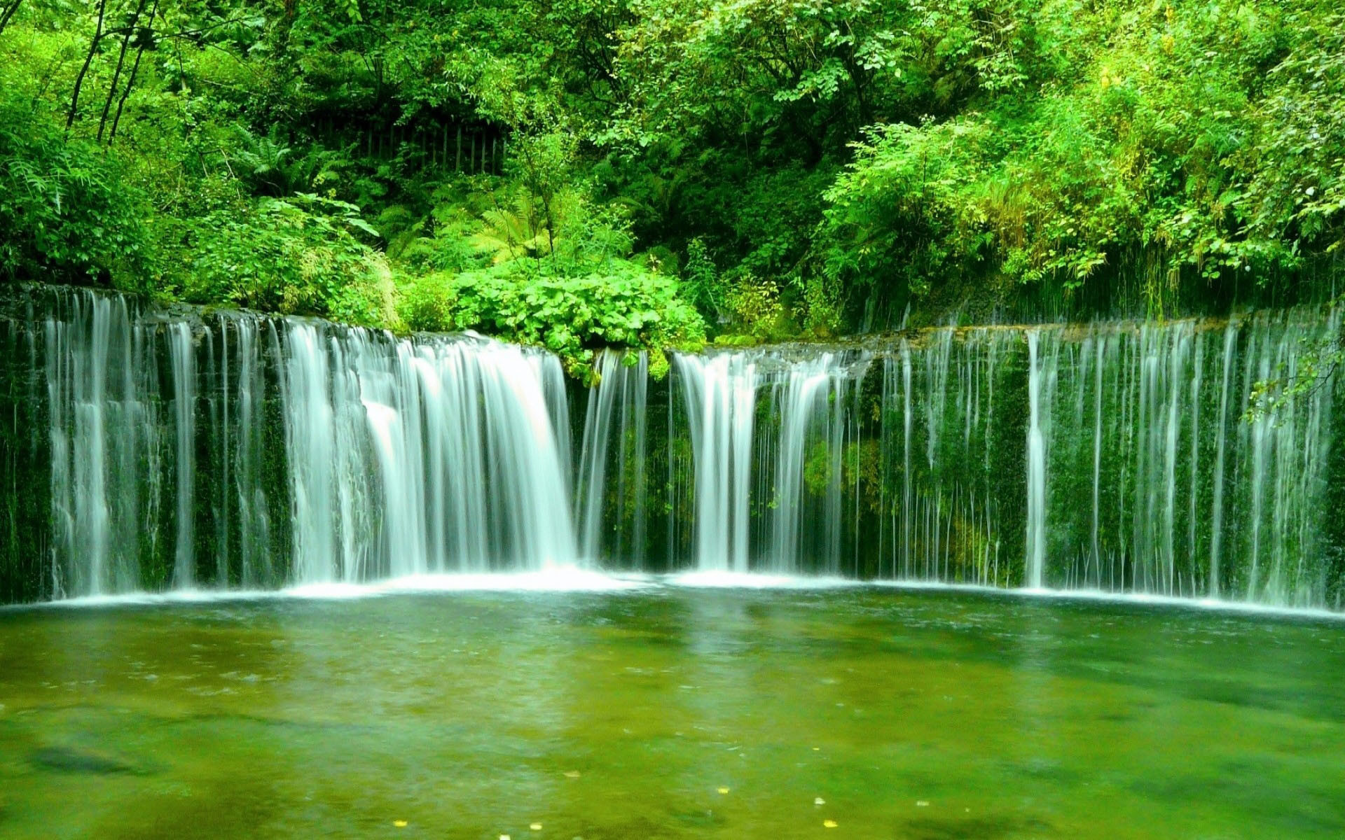 1920x1200 Green Waterfall wallpapers and stock photos