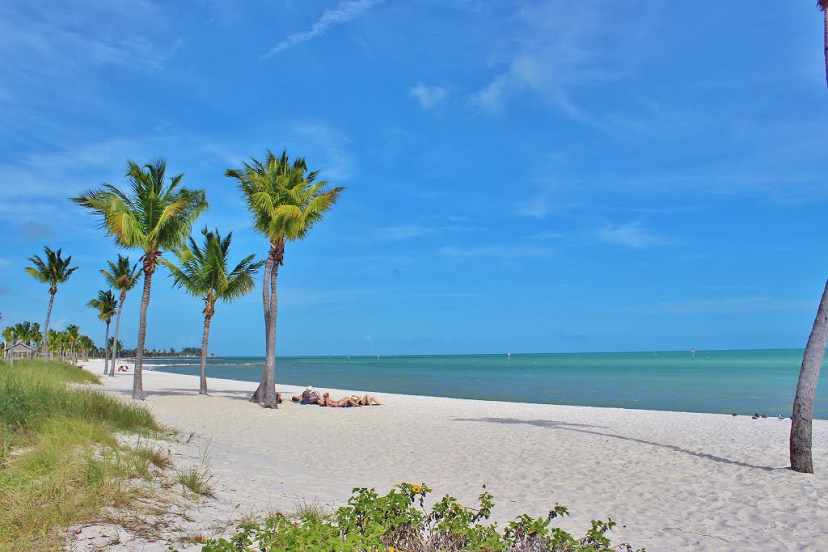 2878x1920 Palm Trees, Florida, Ocean, Key, West, palm tree, beach