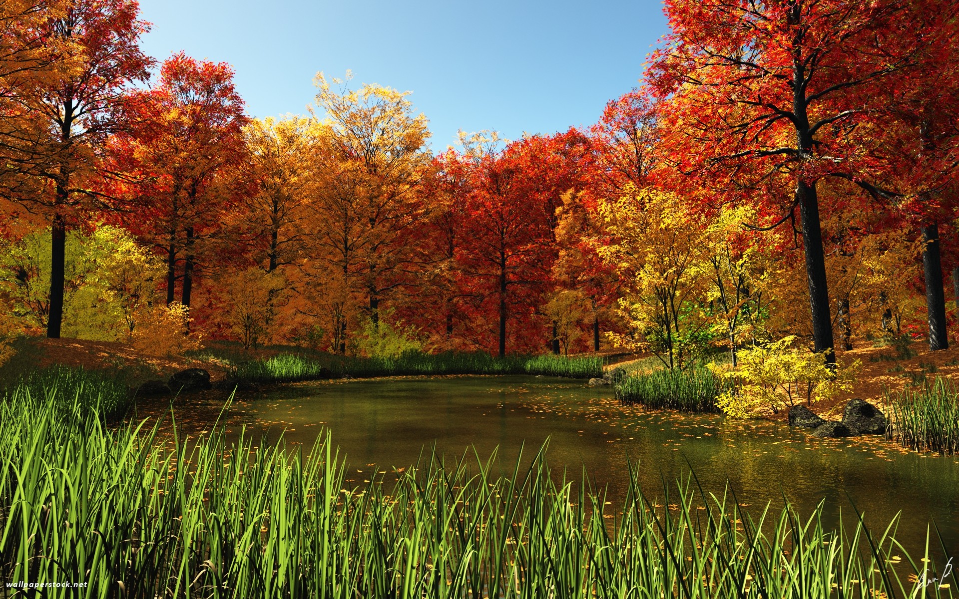 1920x1200 Fall Pond wallpapers and stock photos