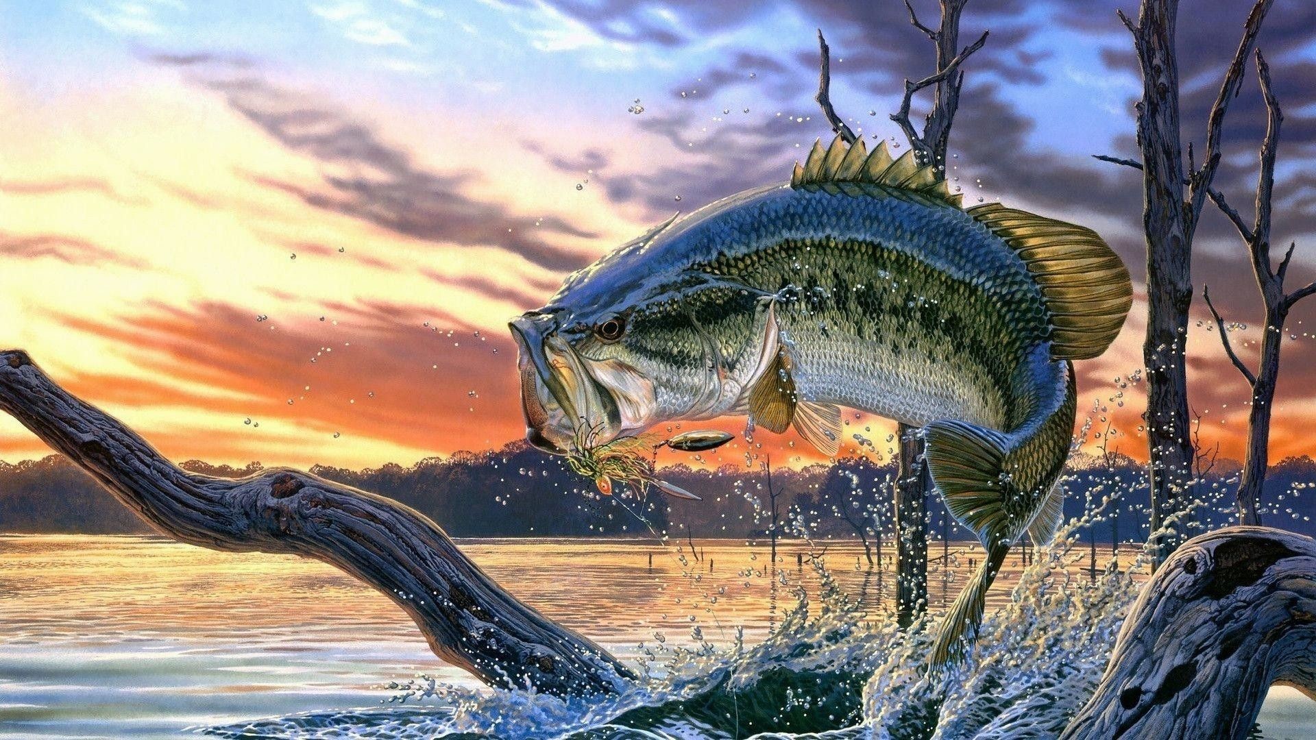 1920x1080 Bass Fishing Wallpaper for iPhone (52+ images)