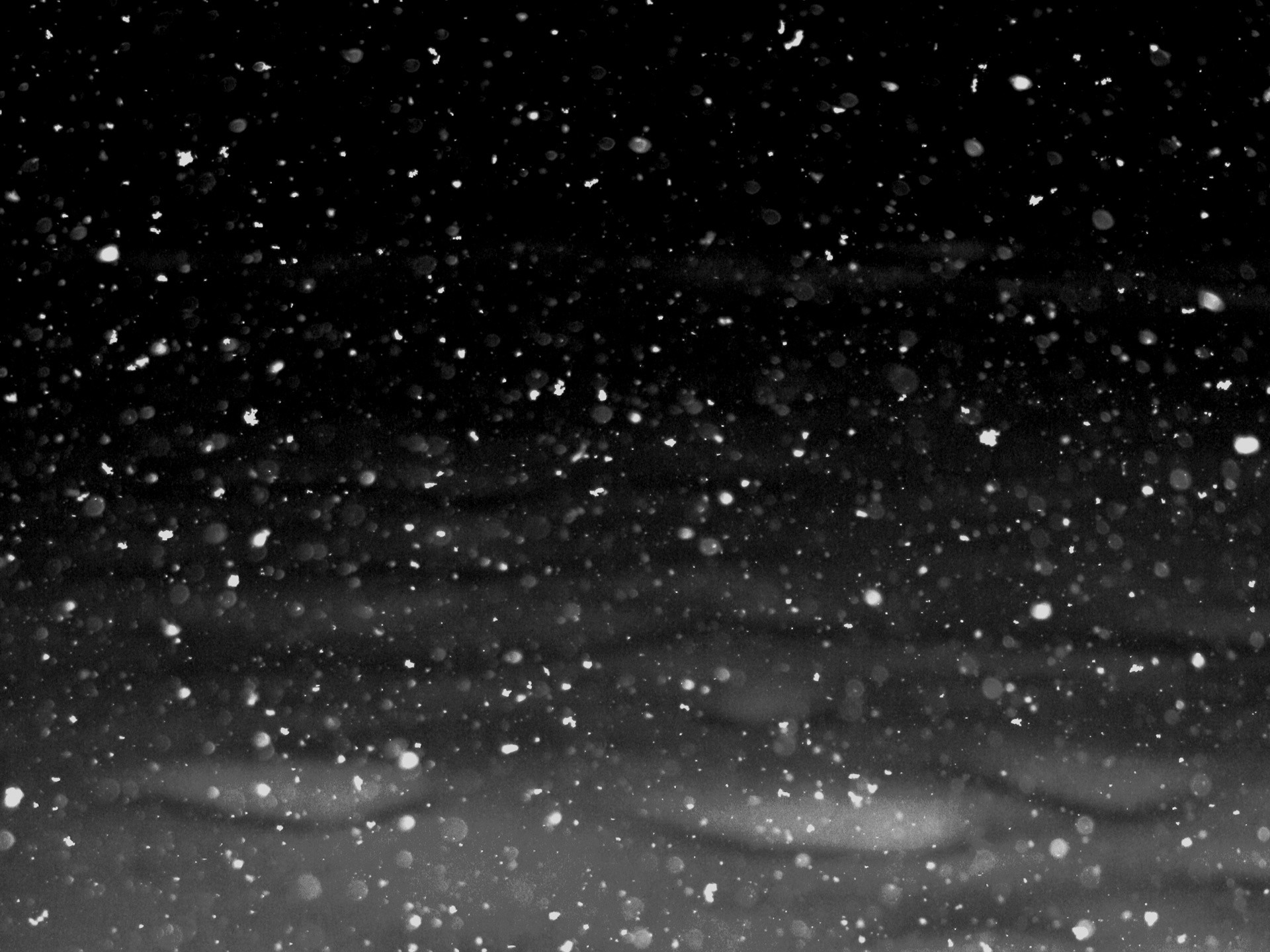 1920x1440 snowflakes falling at Night texture