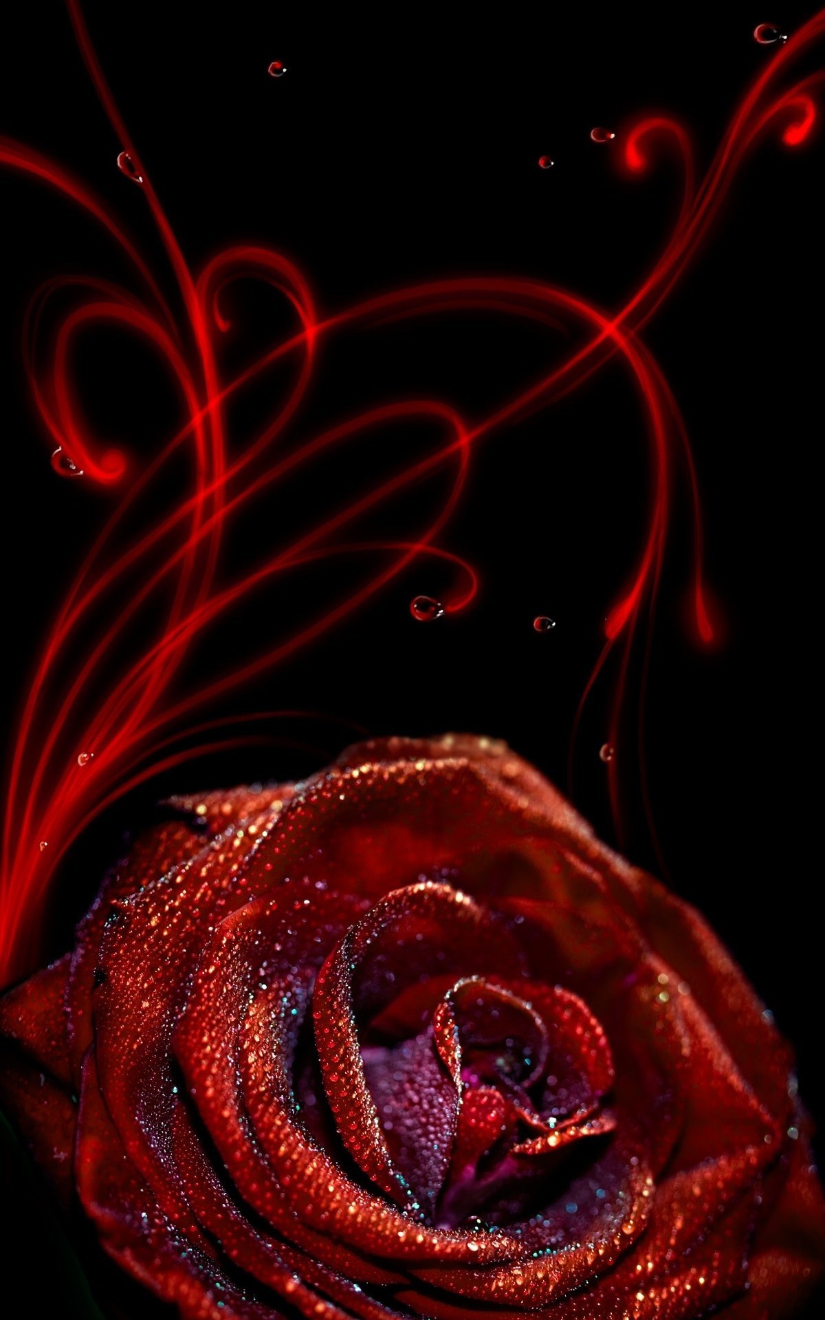 1200x1920 Rose Flower iPhone Wallpaper resolution 