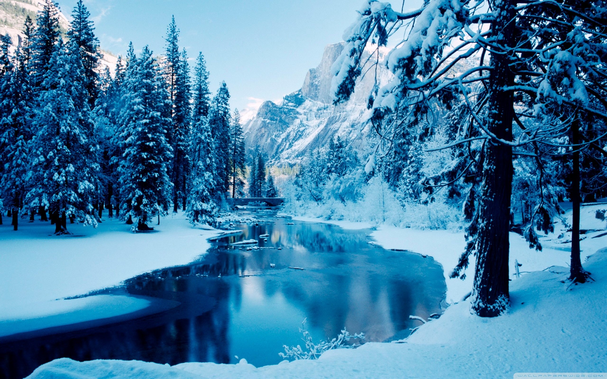 2560x1600 1216 Winter Landscape Wallpaper
