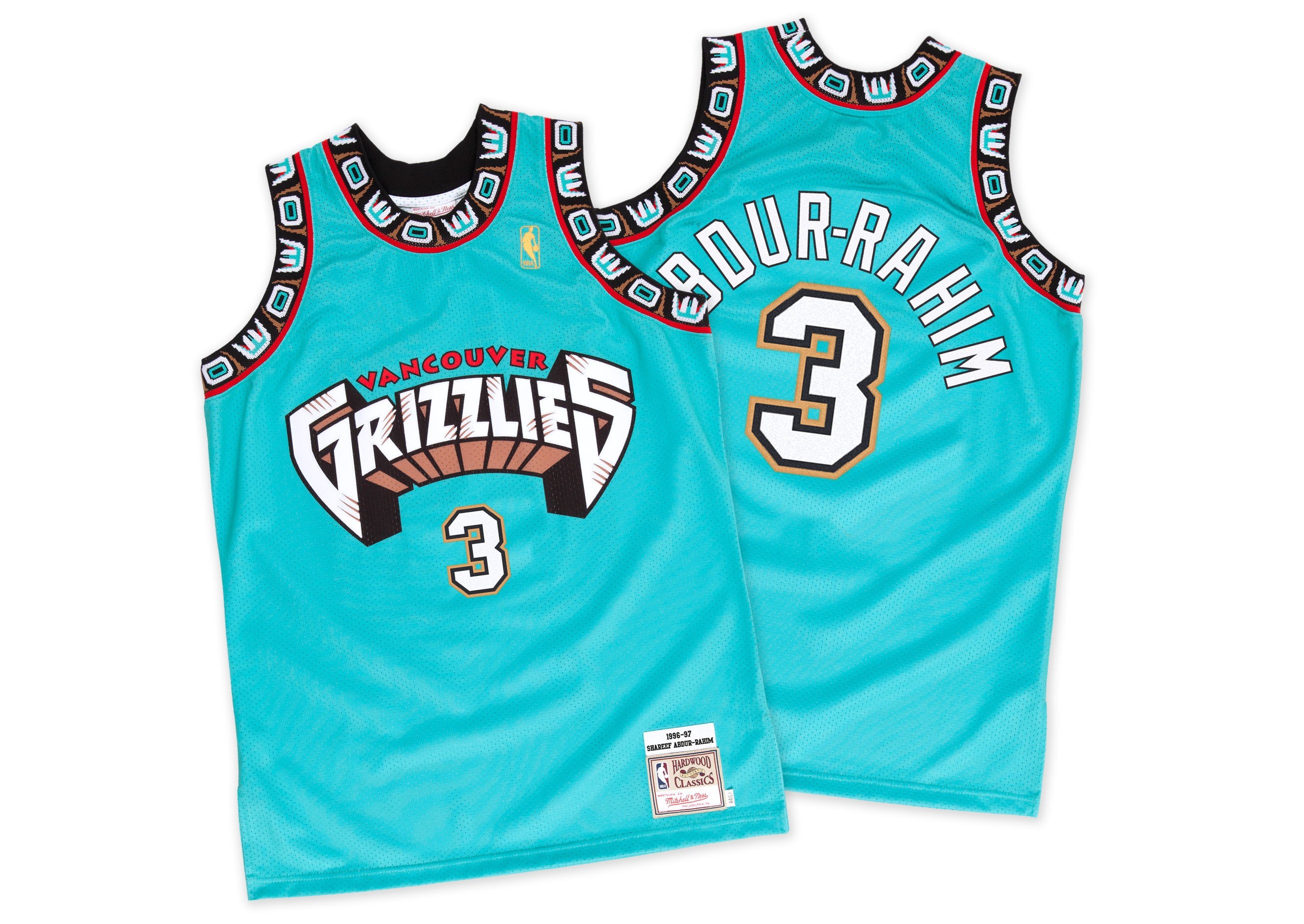 2610x1850  > Vancouver Grizzlies Wallpapers