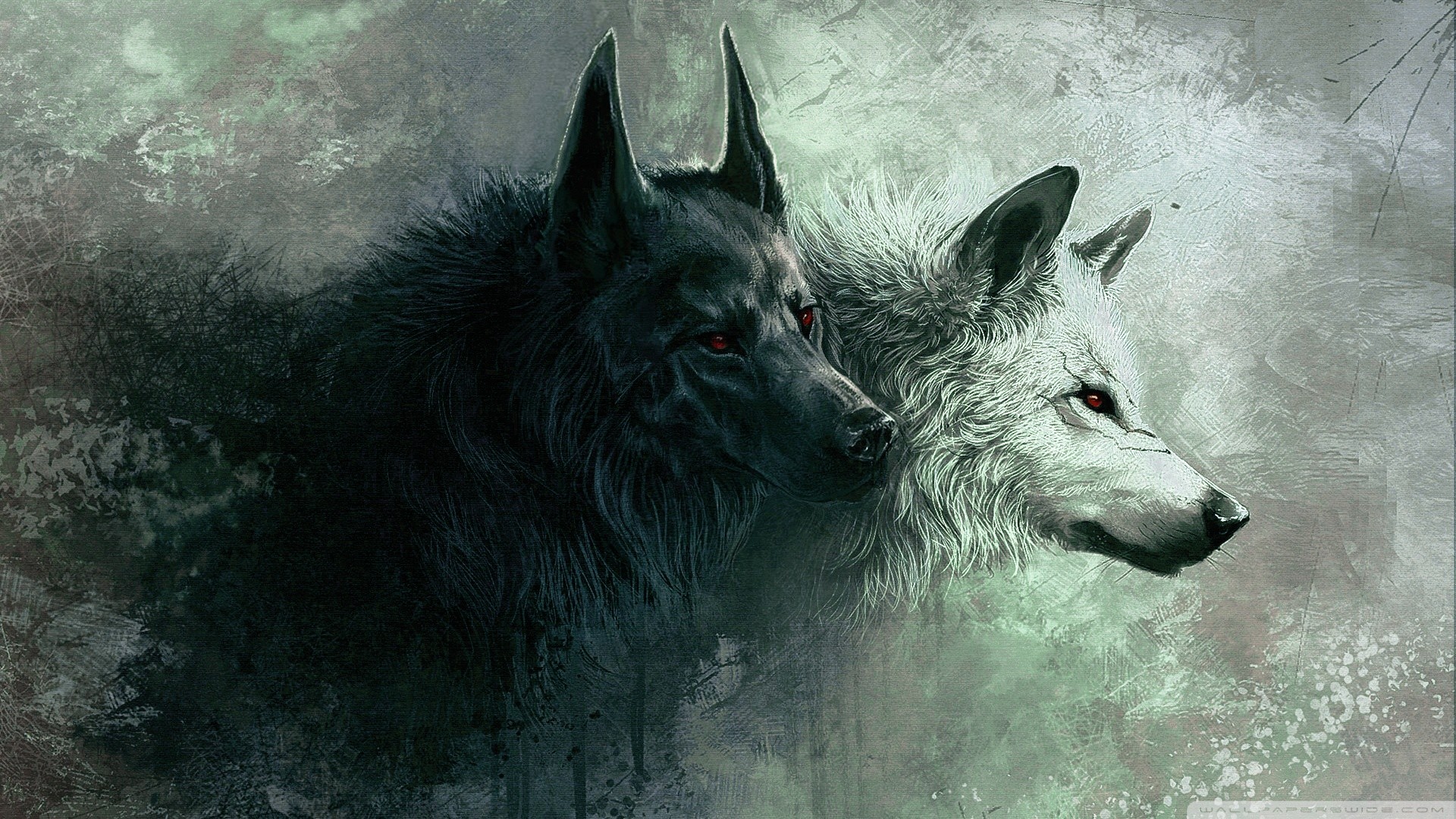 1920x1080 ... Cool Wolf Backgrounds - Wallpaper Gallery ...