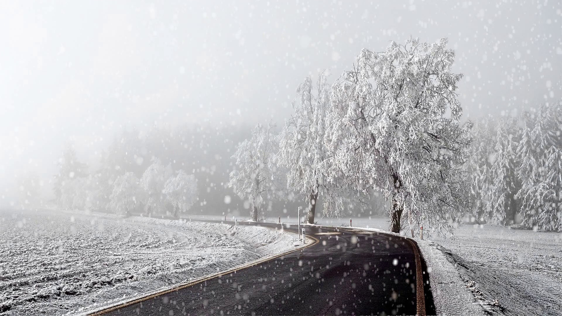 1920x1080 rural winter road going in to the fog with snow, christmas scene background  Stock Video Footage - VideoBlocks