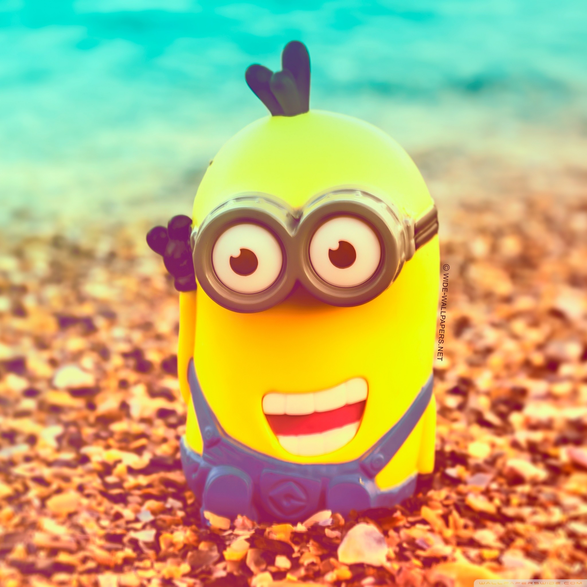 Minion Screensavers Wallpaper (85+ images)