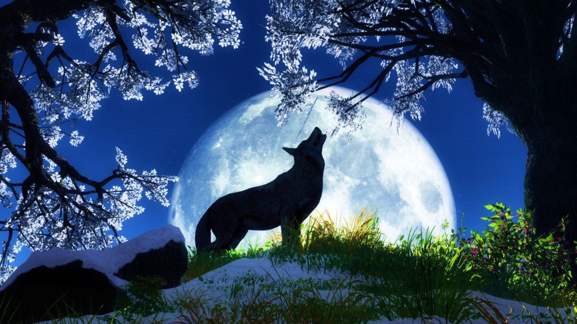 1920x1080 Wolf-Backgrounds-wallpaper-wpt72010245
