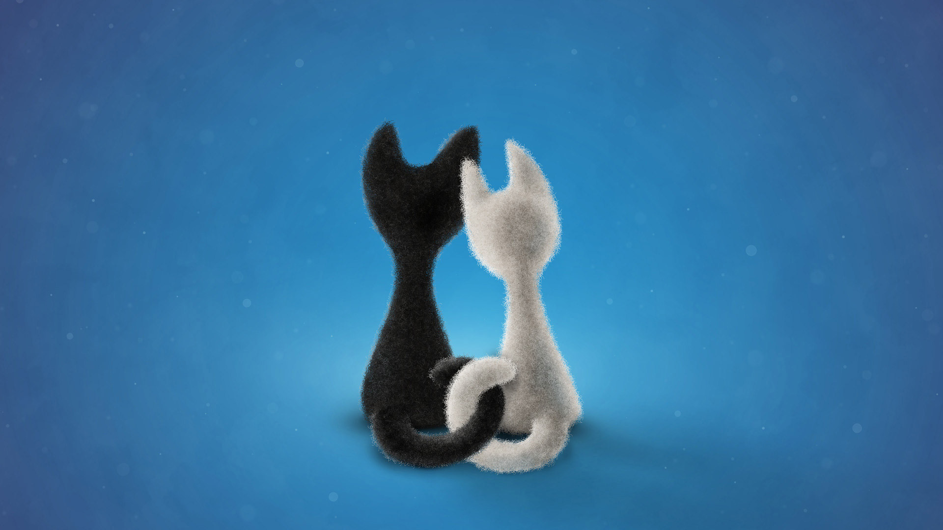 1920x1080 Valentine Black and White Cats Wallpapers