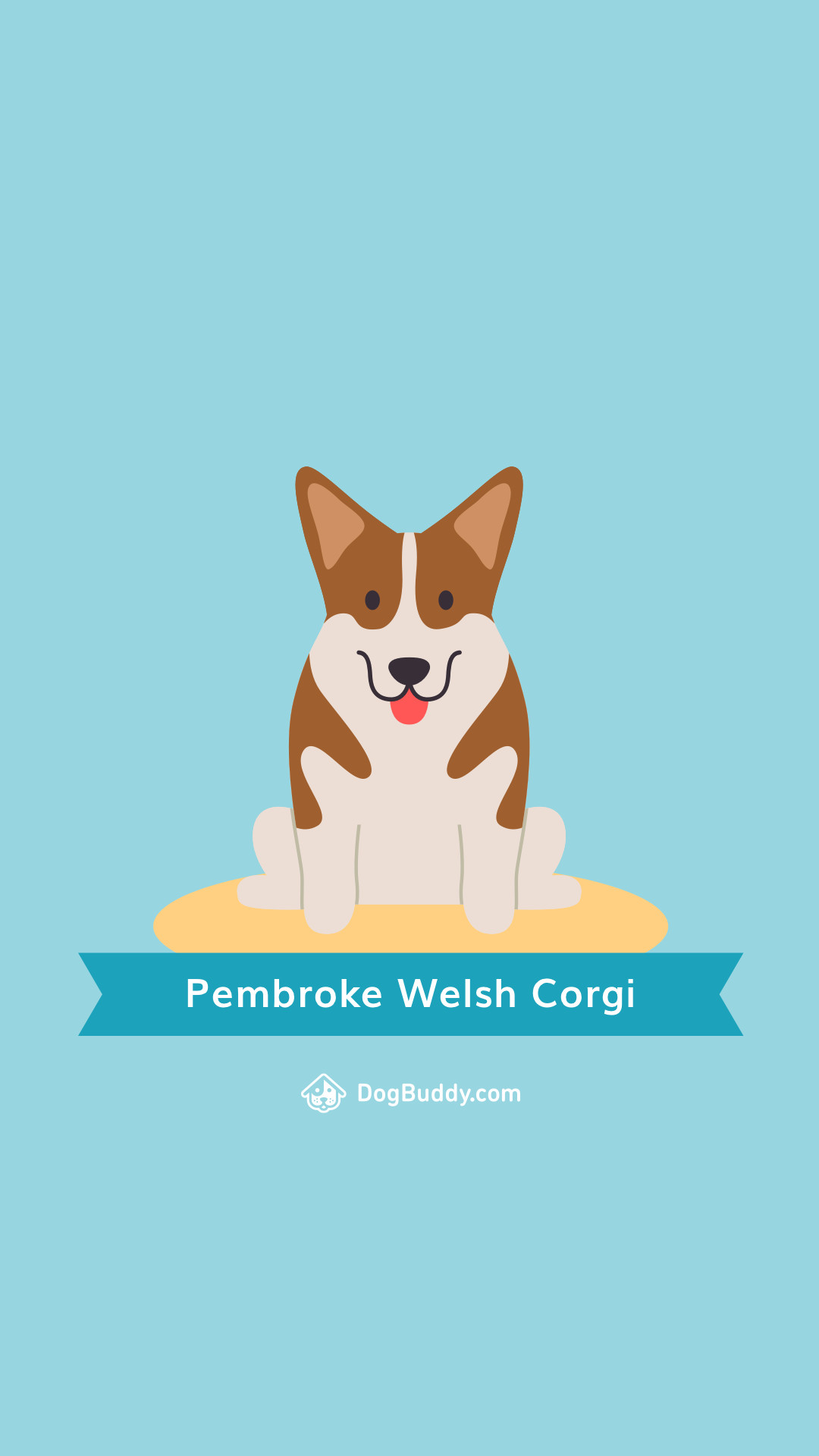 1080x1920 Download: Pembroke Welsh Corgi Mobile Woofpaper