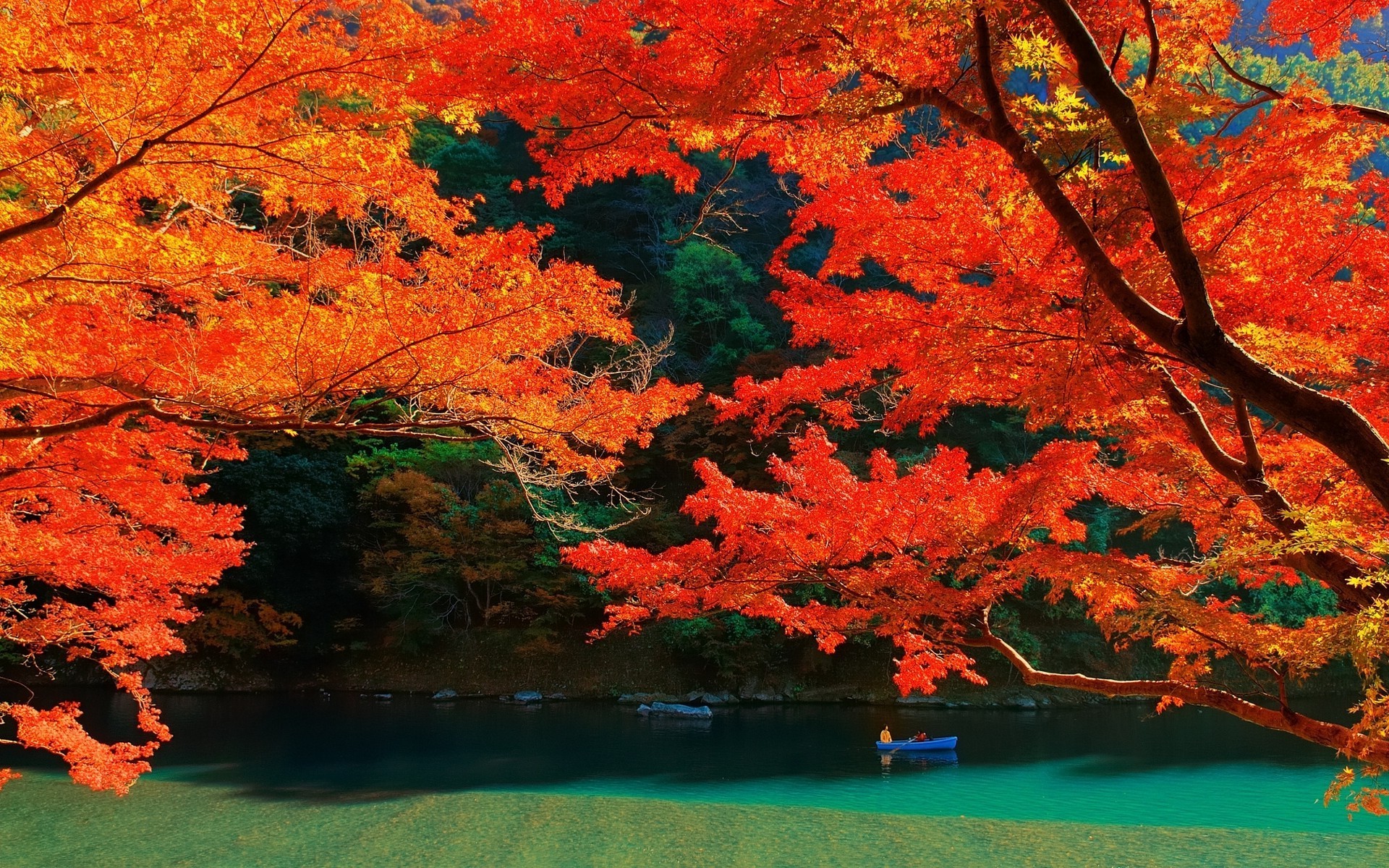 1920x1200 nature, Landscape, Lake, Trees, Fall, Colorful, Kyoto, Leaves, Water, Japan  Wallpapers HD / Desktop and Mobile Backgrounds