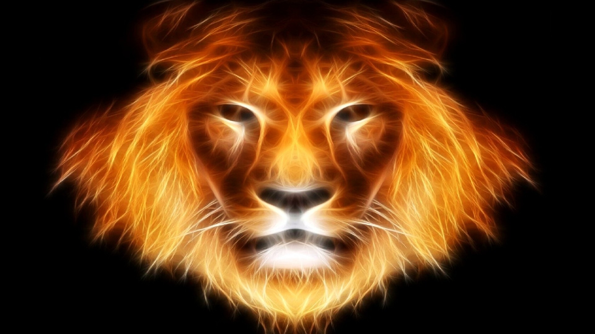 1920x1080 abstract lion wallpapers