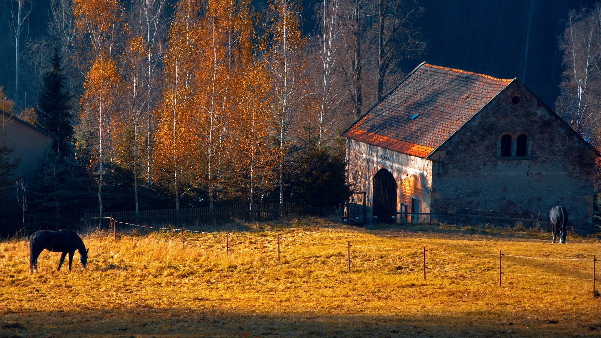 1920x1080 Horses rustic farm barn landscapes buildings autumn fall trees wallpaper |   | 31714 | WallpaperUP