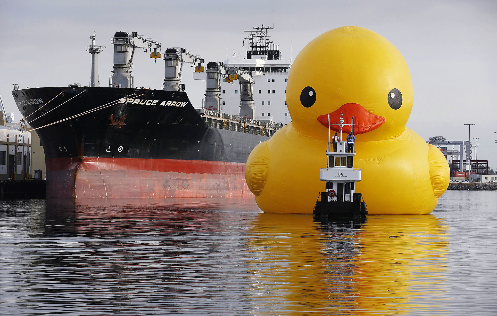 2048x1305 Giant rubber duck floats around the world - photo#3