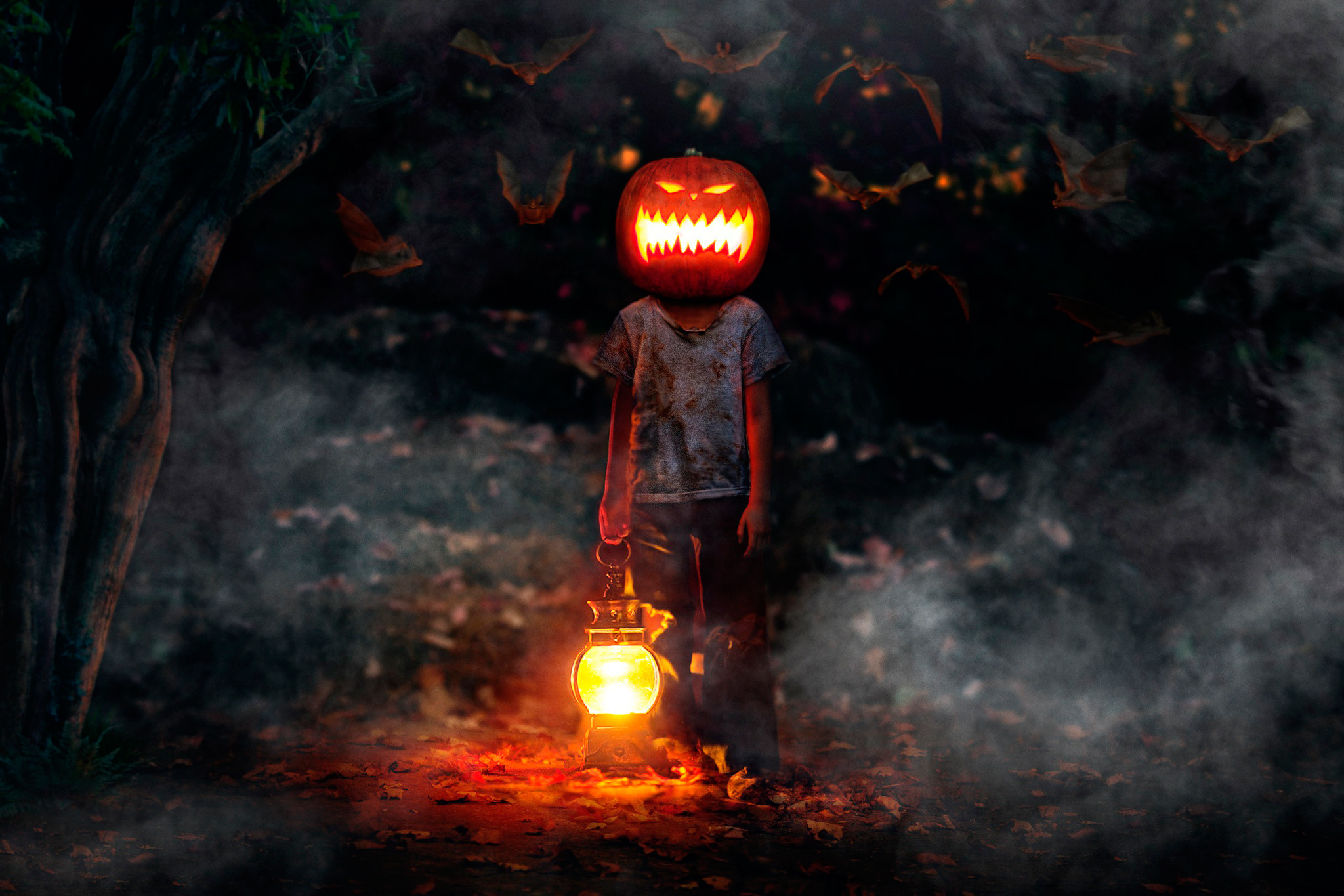 2048x1365 ... happy halloween man pumpkin head lantern bats fog forest ghost bats desktop  background hd 1920x1080