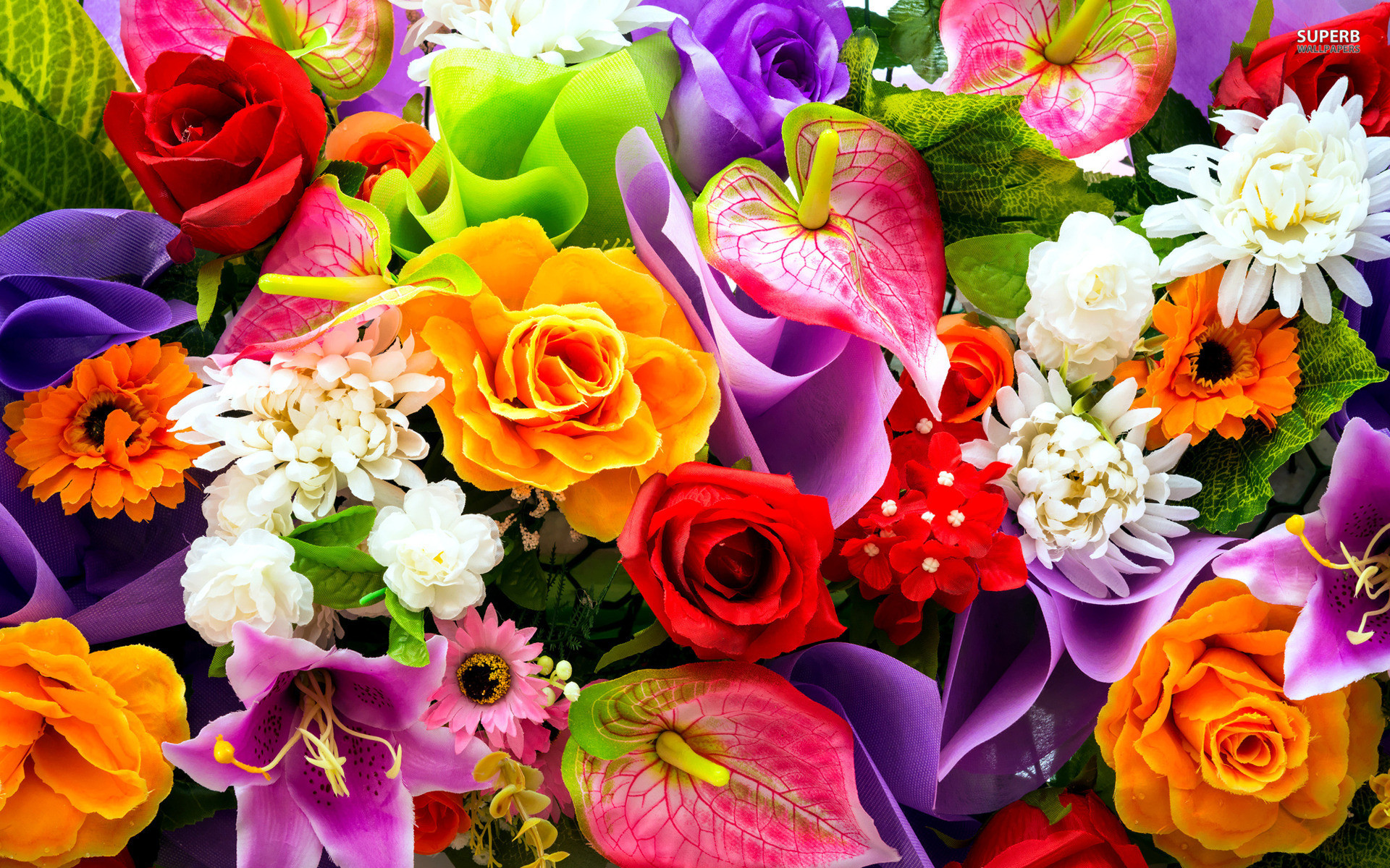 1920x1200 Colorful Flowers Wallpapers - HD Images New