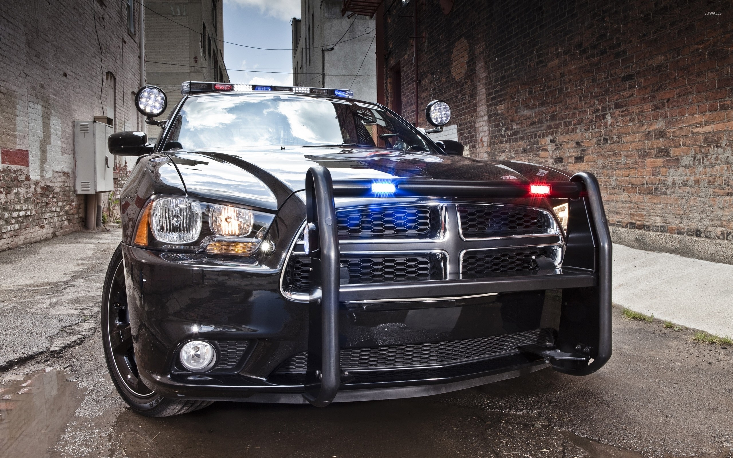 2560x1600 Dodge Charger police car [2] wallpaper