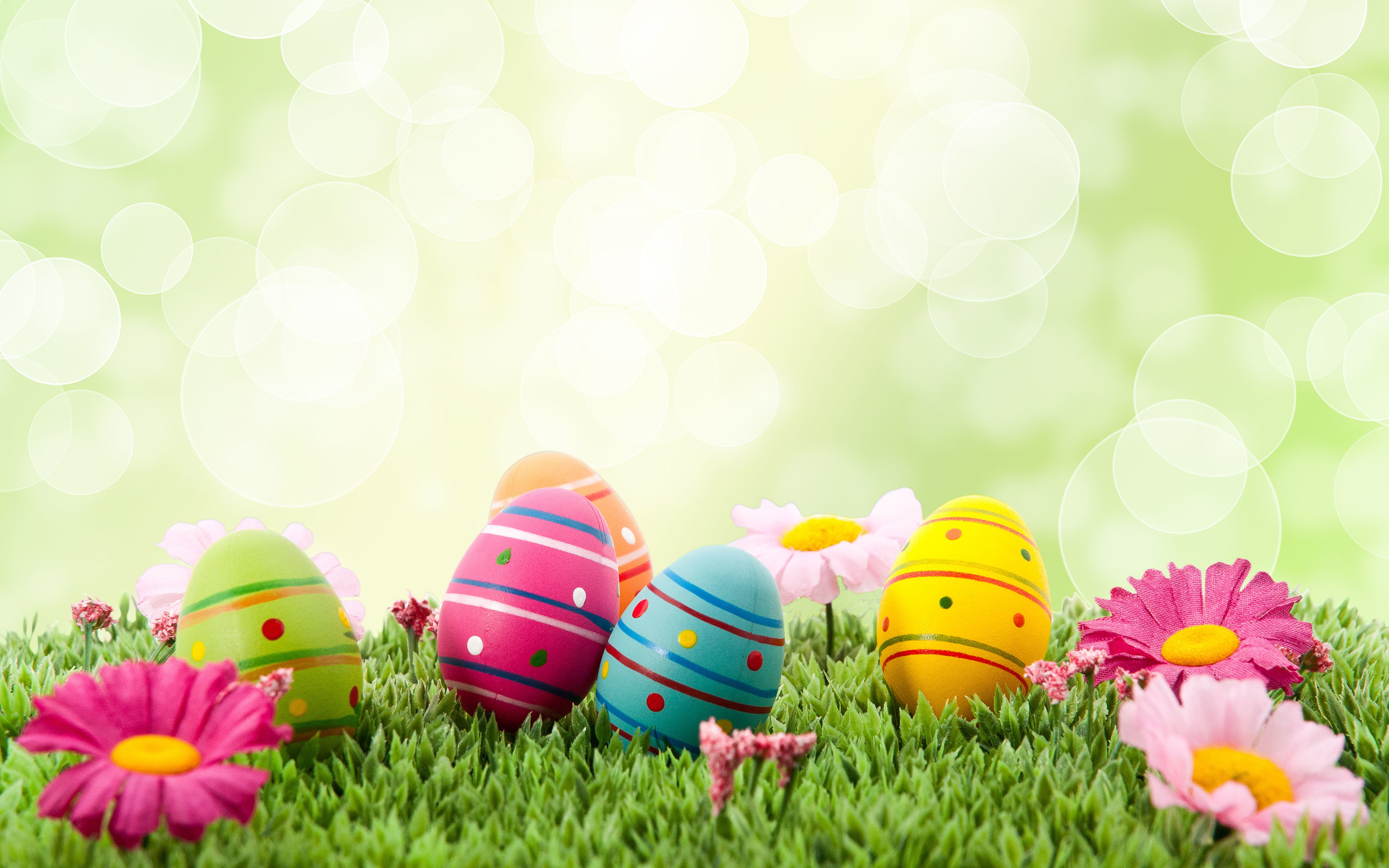 2880x1800 easter images eggs free