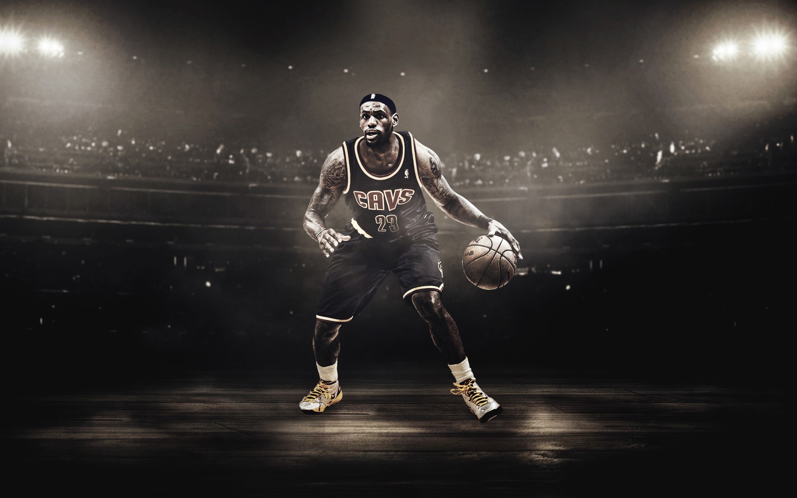 2560x1600 LeBron James Basketball Player