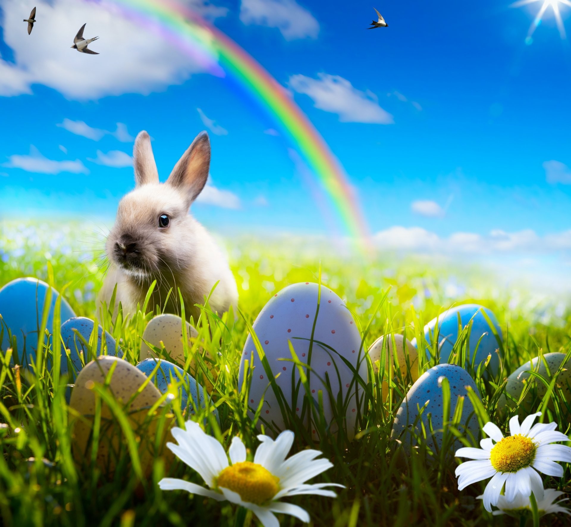 1920x1771 easter bunny rabbit spring sunshine rainbow blue sky meadow grass flowers  eggs camomile easter rabbit spring