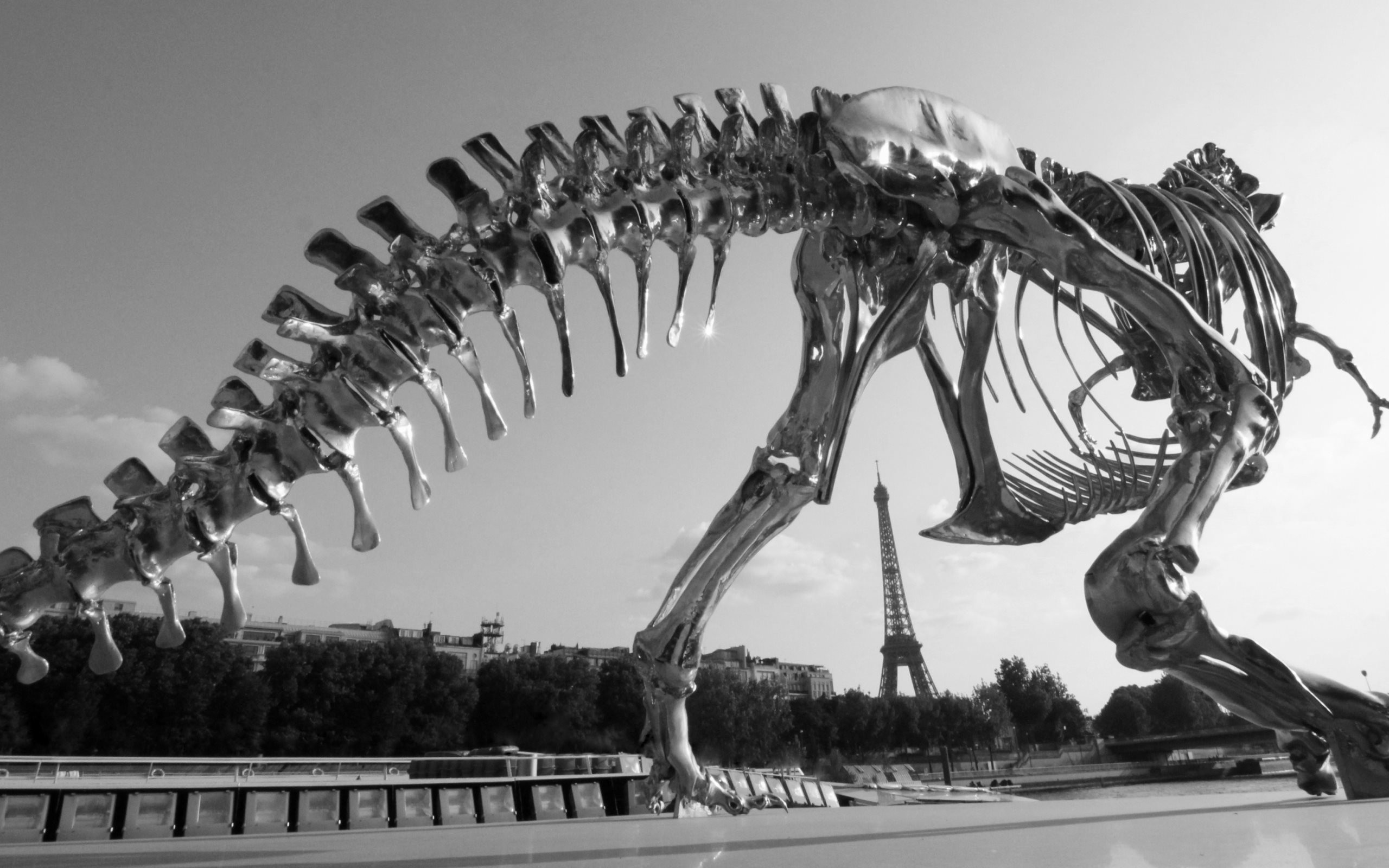 2560x1600 4K HD Wallpaper: T-Rex Skeleton
