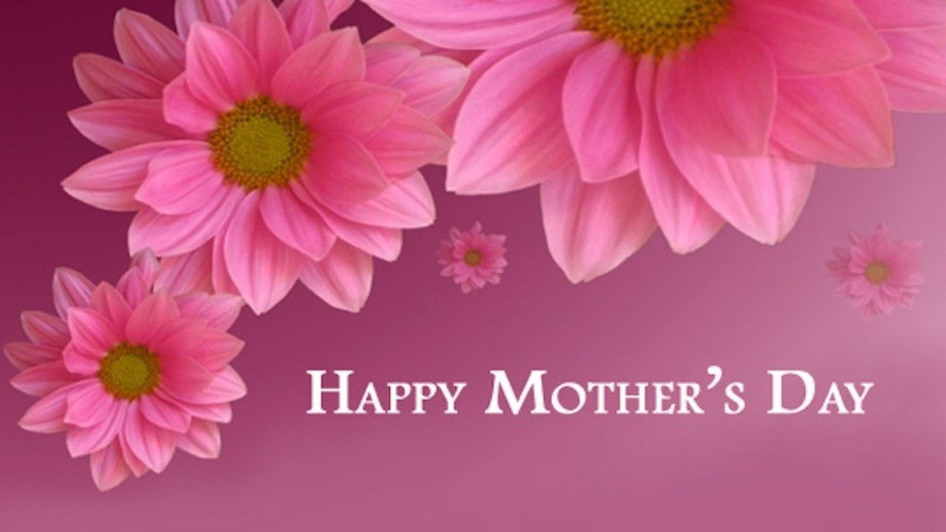 1920x1080 Happy Mothers Day Pink Flower Hd Desktop Wallpaper