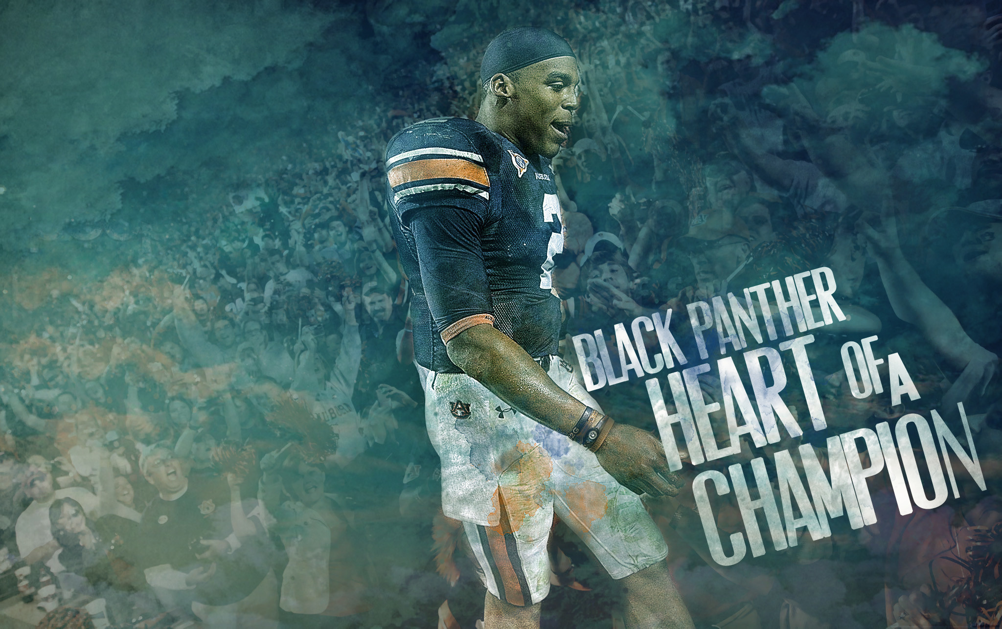 2048x1286 Cam Newton Wallpaper by 31ANDONLY Cam Newton Wallpaper by 31ANDONLY