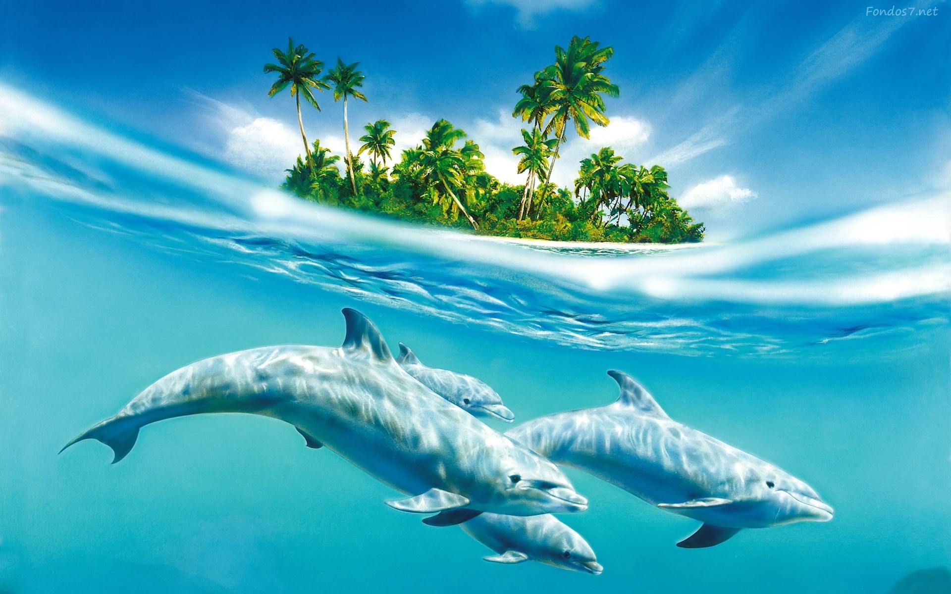 1920x1200 Gallery For gt; Free Tropical Wallpapers 1920Ã1200