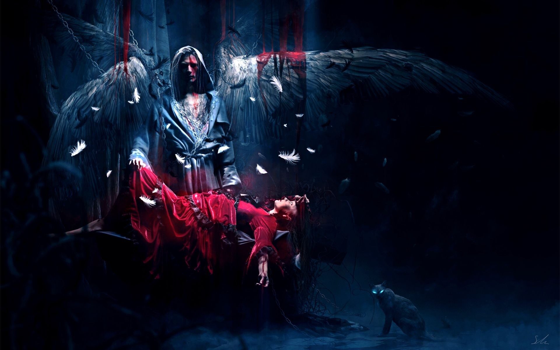 1920x1200 Wallpaper Angel, Victim, Wings, Night, Cat, Eyes, Feathers HD, Picture,  Image