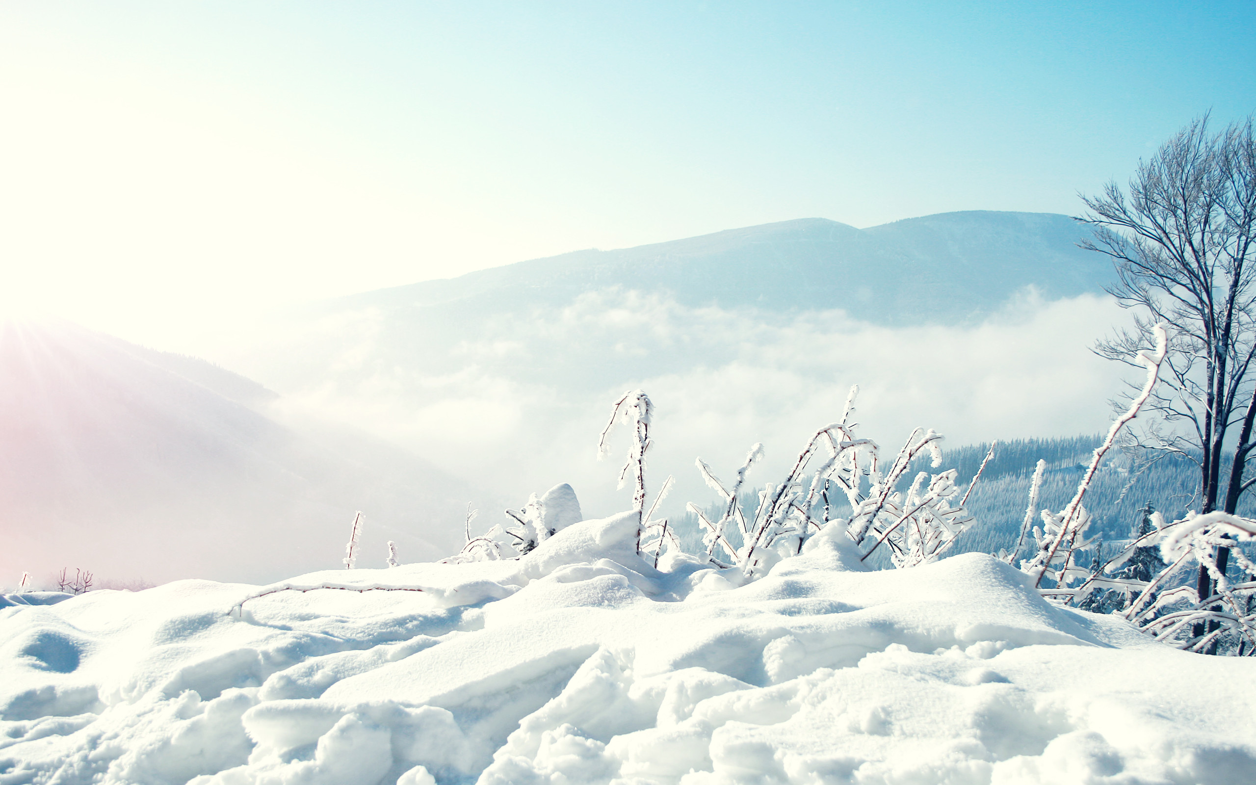 2560x1600 ... snow scene hd wallpapers free download ...