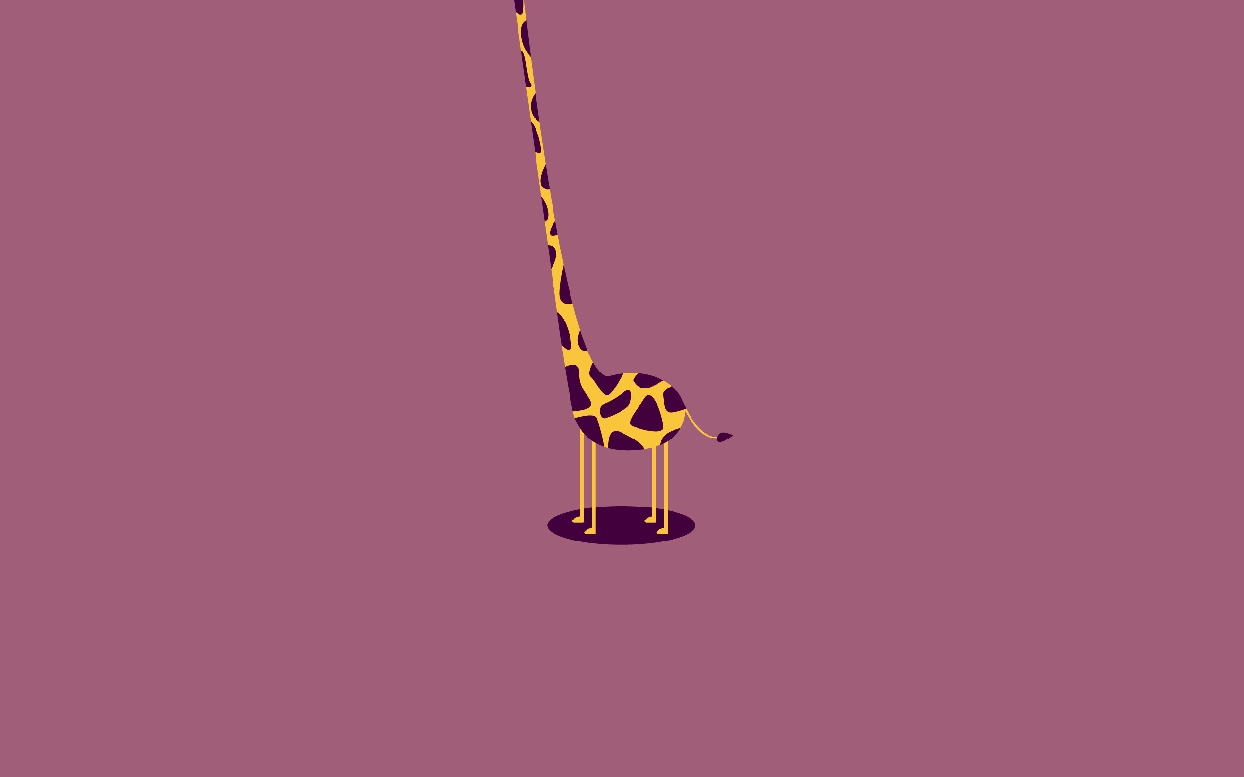 2560x1600 Fun & Colorful Giraffe Wallpaper | Desktop Wallpaper | Pinterest .