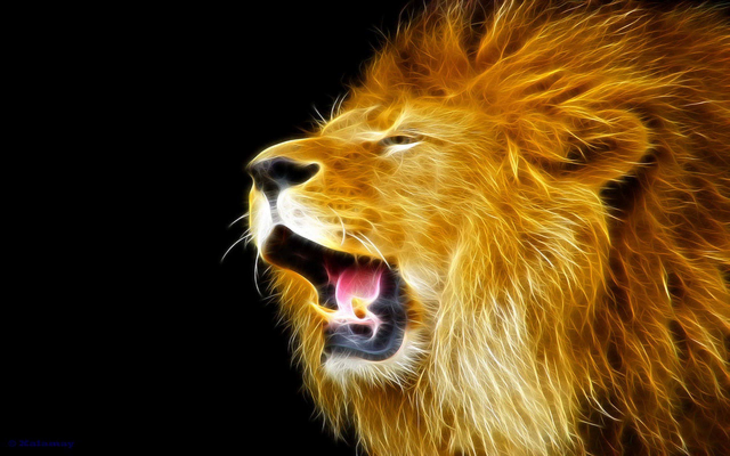 2560x1600 Image Gallery: lion roaring wallpaper