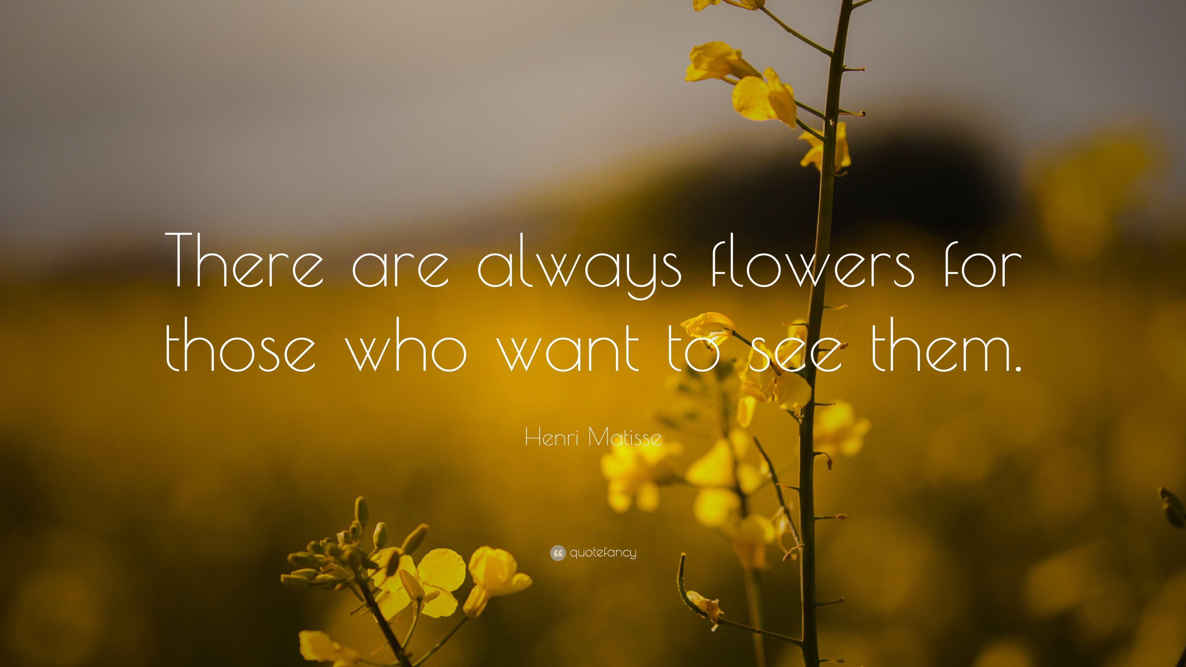 3840x2160 Positive Quotes: “There are always flowers for those who want to see them.