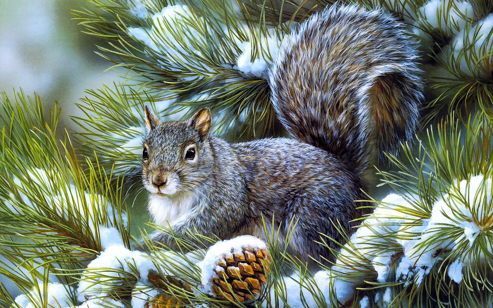 1920x1200 Squirrels animals rodents art artistic nature wildlife winter snow .