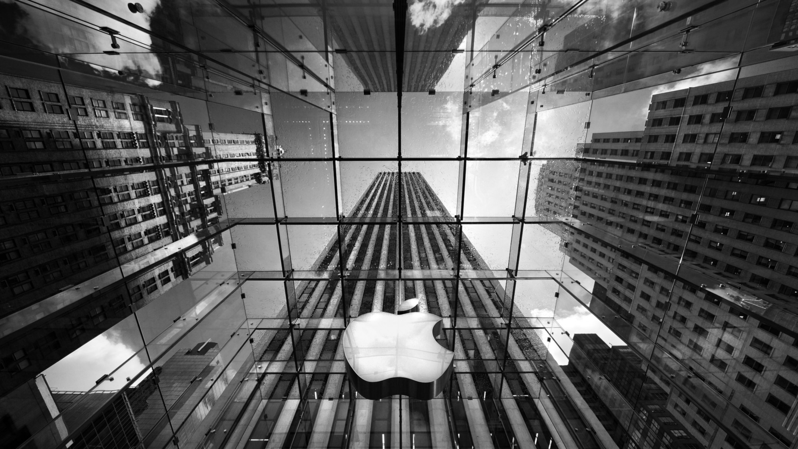 2560x1440 Apple Store New York Wide Wallpaper