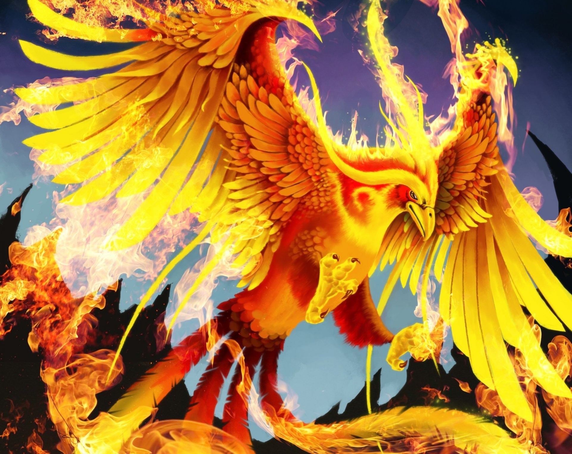 1920x1522 art phoenix poultry fire wings tail