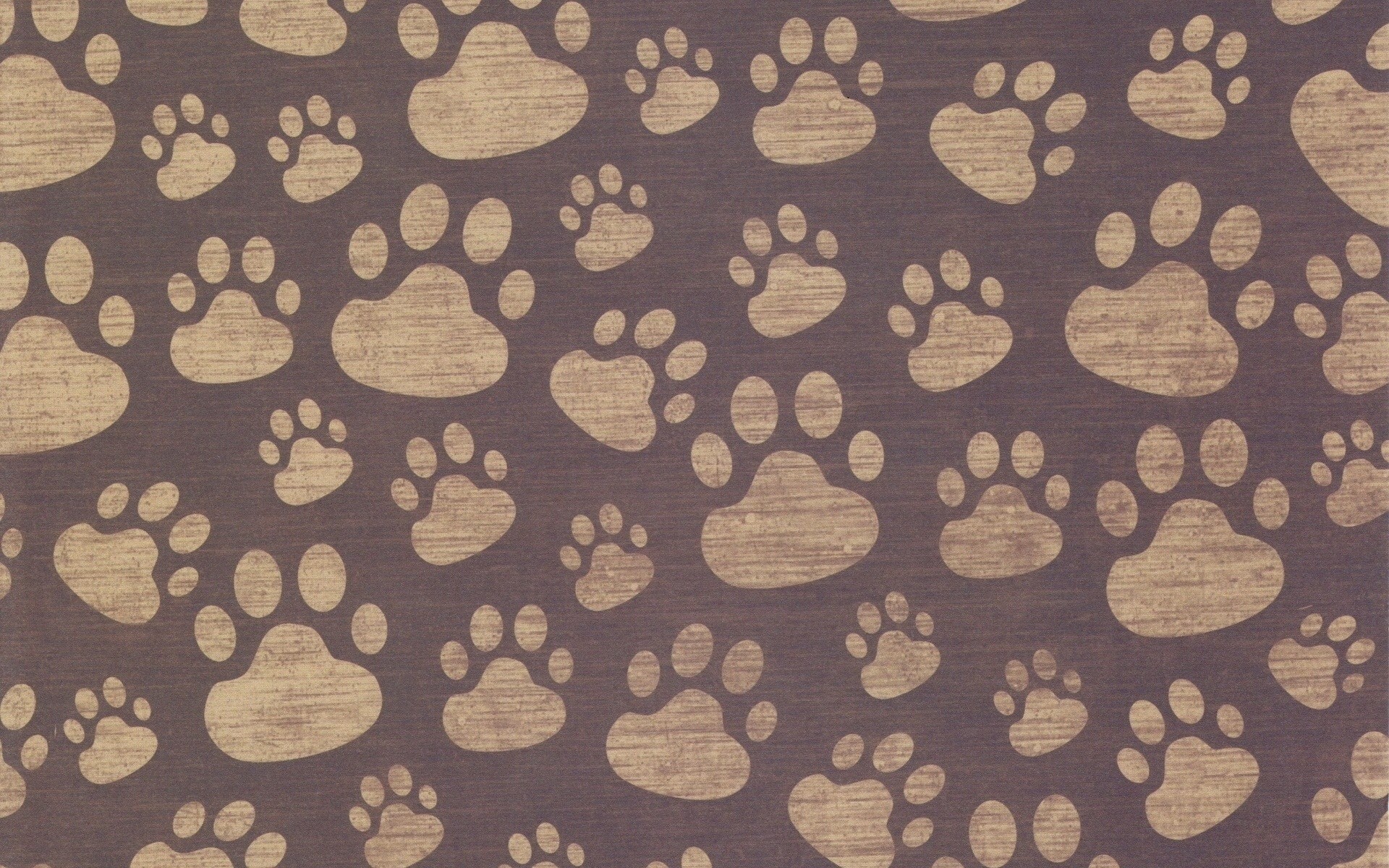 1920x1200  Wallpaper paw, print, background, surface, pattern